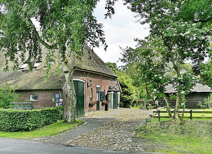 't Anderhoes in Anderen, Drenthe: charmante vakantieboerderij met rieten dak en groene tuin.