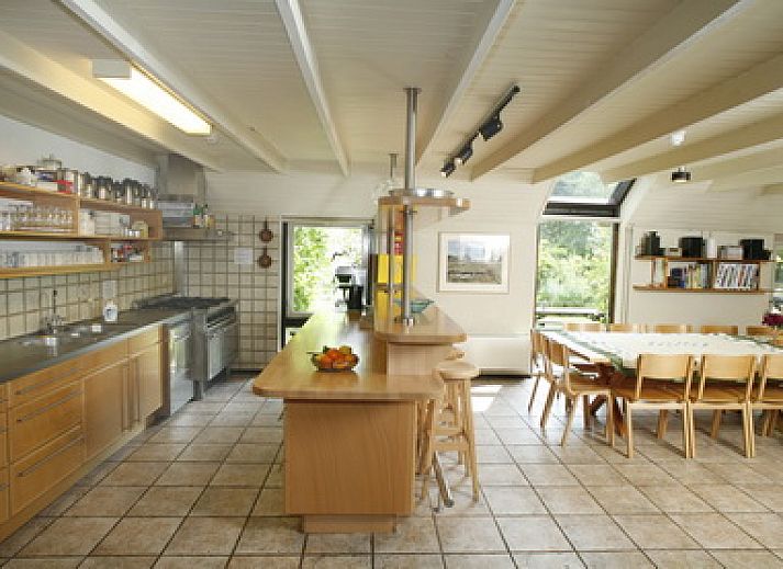 't Anderhoes in Anderen, Drenthe: charmante vakantieboerderij met rieten dak en groene tuin.