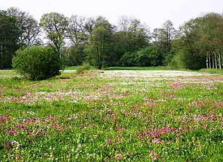 Authentieke entree van 't Anderhoes, vakantiehuis in Anderen, Drenthe met landelijke uitstraling.