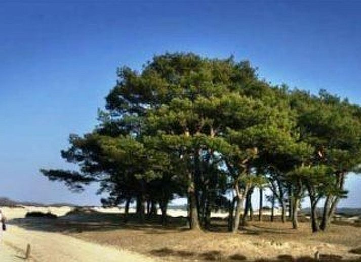 Verblijf 172305 - Vakantiewoning Midden Drenthe - Vakantiehuis 't Anderhoes