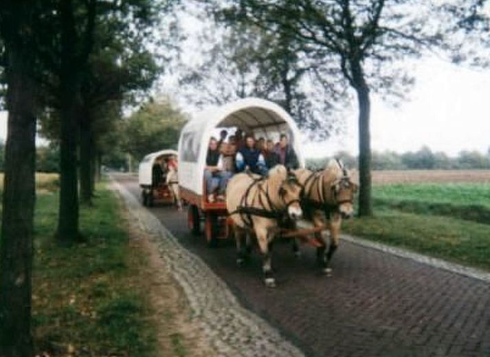 Guest house 172305 - Holiday property Midden Drenthe - Vakantiehuis 't Anderhoes