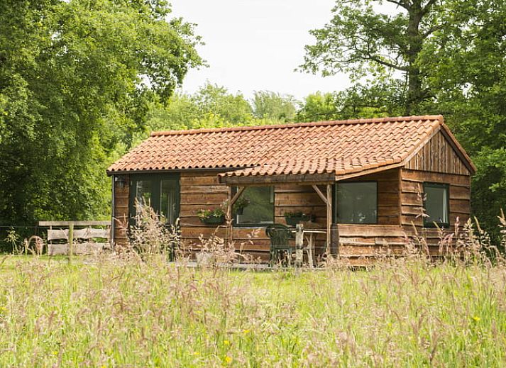 Verblijf 172306 • Vakantiewoning Midden Drenthe • Huisje in Anderen