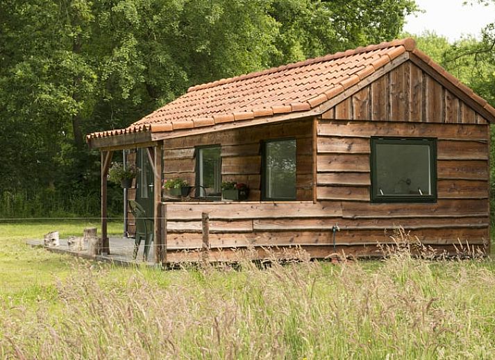 Guest house 172306 - Holiday property Midden Drenthe - Huisje in Anderen