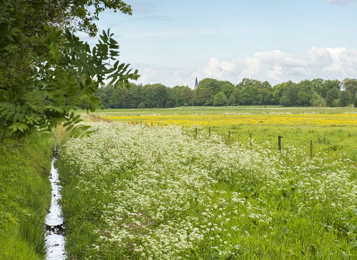 Guest house 172306 - Holiday property Midden Drenthe - Huisje in Anderen