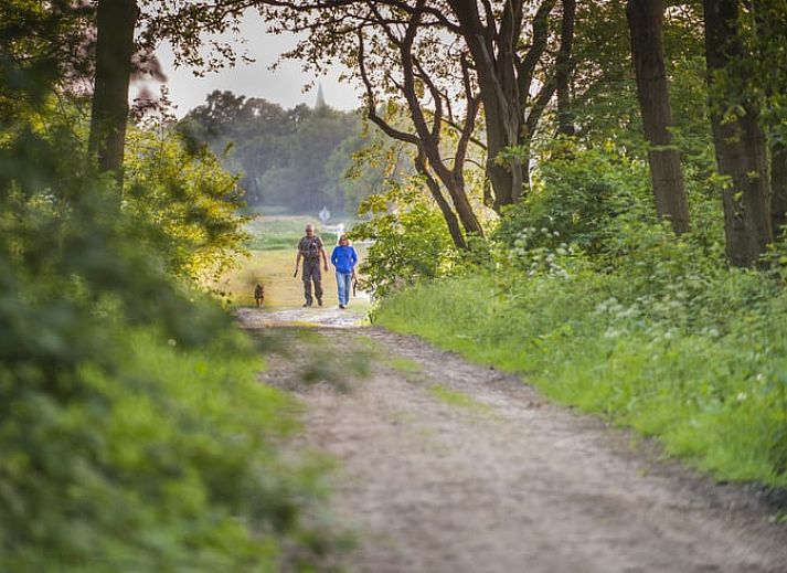Guest house 172306 - Holiday property Midden Drenthe - Huisje in Anderen