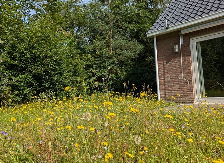 Vakantiehuis in Westerbork, gelegen in de groene natuur van Midden Drenthe, Drenthe, met een uitnodigende veranda.