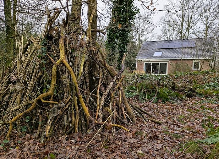Gezellig vakantiehuis in Westerbork, omringd door weelderige bossen in Midden Drenthe, perfect voor natuurliefhebbers.