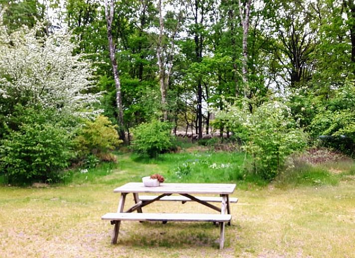 Bloemrijke tuin bij Vakantiehuis in Westerbork, gelegen in het schilderachtige Midden Drenthe, Drenthe.