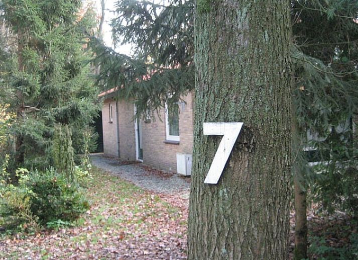 Guest house 172528 - Holiday property Midden Drenthe - Vakantiehuisje in Westerbork
