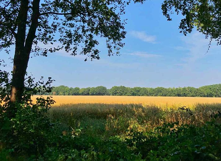 Guest house 172540 - Holiday property Midden Drenthe - DG1513