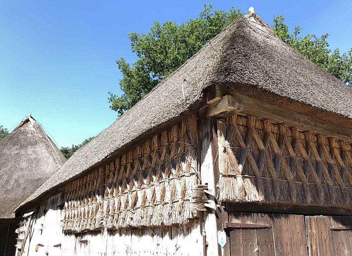 Guest house 172540 - Holiday property Midden Drenthe - DG1513