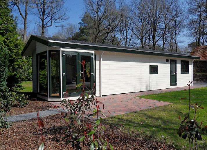 Unterkunft 172807 • Chalet Midden Drenthe • Boterbloem Chalet 4