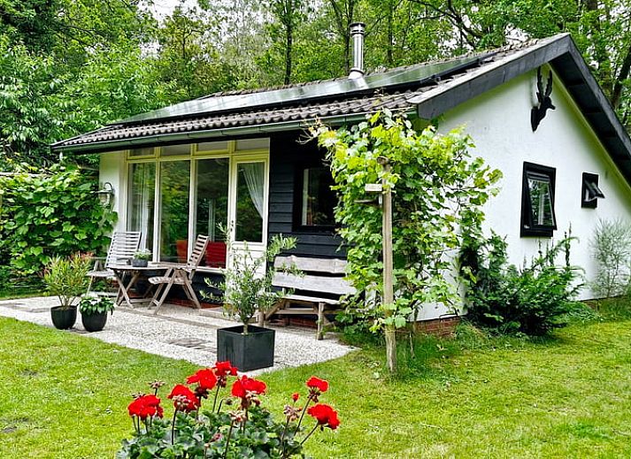 Guest house 172810 - Holiday property Midden Drenthe - Vakantiehuisje in Hooghalen