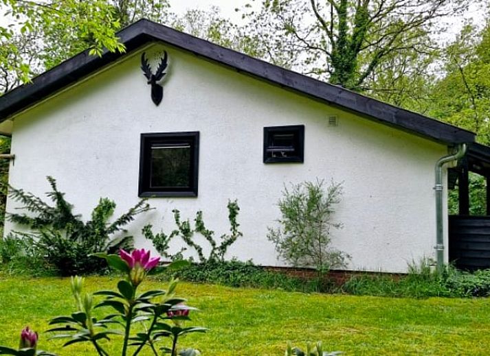 Guest house 172810 - Holiday property Midden Drenthe - Vakantiehuisje in Hooghalen