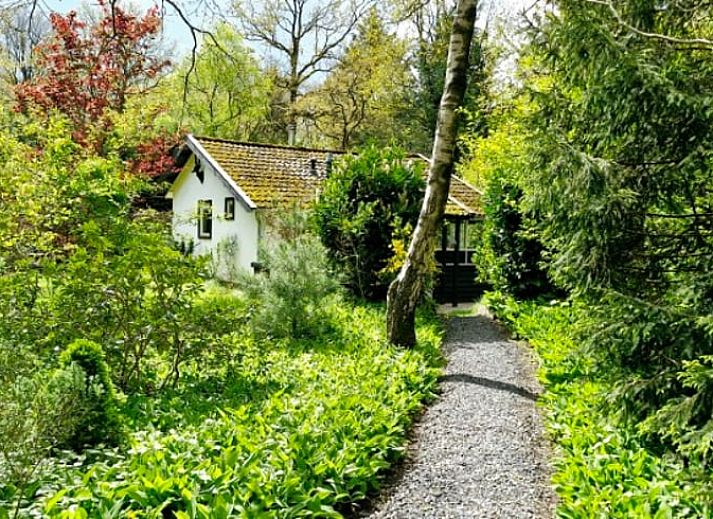 Guest house 172810 - Holiday property Midden Drenthe - Vakantiehuisje in Hooghalen