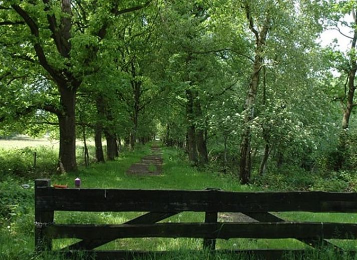 Guest house 172818 - Holiday property Midden Drenthe - Huisje in Hooghalen