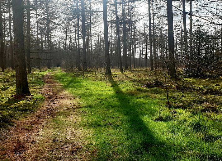 Gezellig terras bij DG1928 vakantiehuis in Hooghalen, Drenthe.