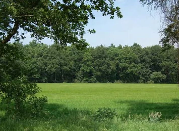 Lichte woonkamer in Vakantiehuisje in Hooghalen met comfortabele zitbank, ideaal voor ontspanning in Midden Drenthe, Drenthe.