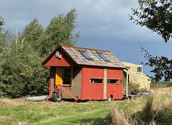 Rustikale Umgebung von Cottage in Mantinge, Ferienhaus in Zentral-Drenthe, mit weiter Aussicht.