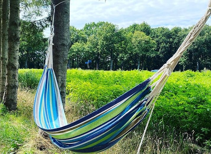 Atemberaubender Sonnenuntergang am Cottage in Mantinge, Ferienhaus in Zentral-Drenthe, Drenthe.