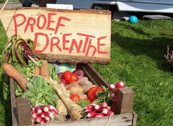 Gemuetliches Lagerfeuer im Cottage in Mantinge, Ferienhaus in Zentral-Drenthe, Drenthe.