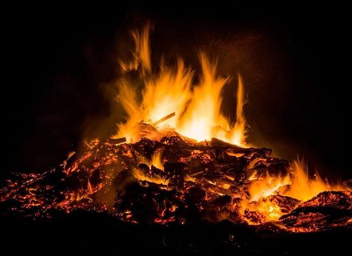 Charming cottage in Mantinge, Central Drenthe, surrounded by lush nature and tranquility.