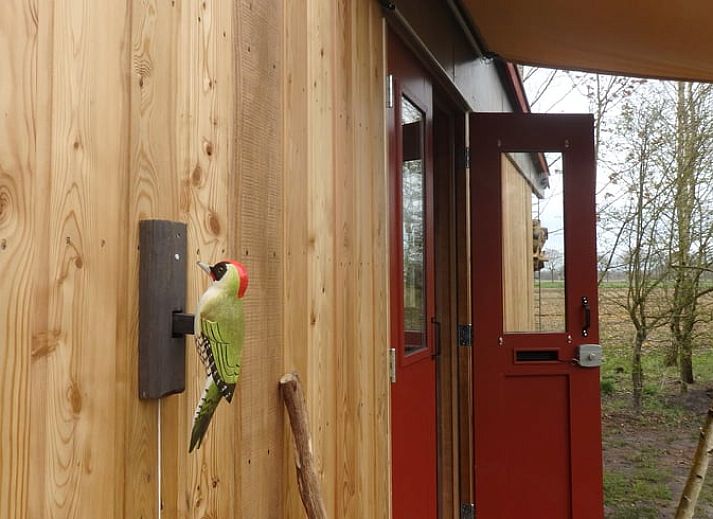Cozy indoor space with rocking chair in cottage in Mantinge, Central Drenthe.