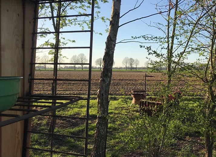 Cozy indoor space with rocking chair in cottage in Mantinge, Central Drenthe.