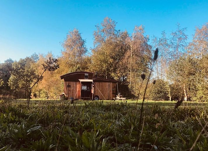 Cozy sitting area with wood stove in cottage in Mantinge, Central Drenthe.