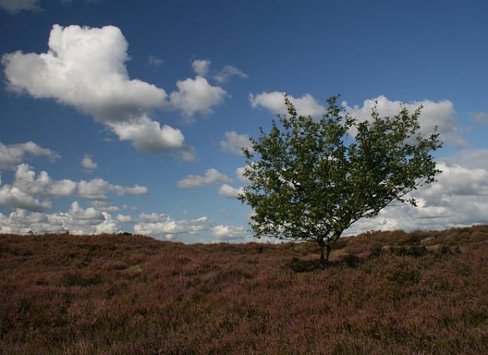 Breathtaking sunset near cottage in Mantinge, Middle Drenthe.