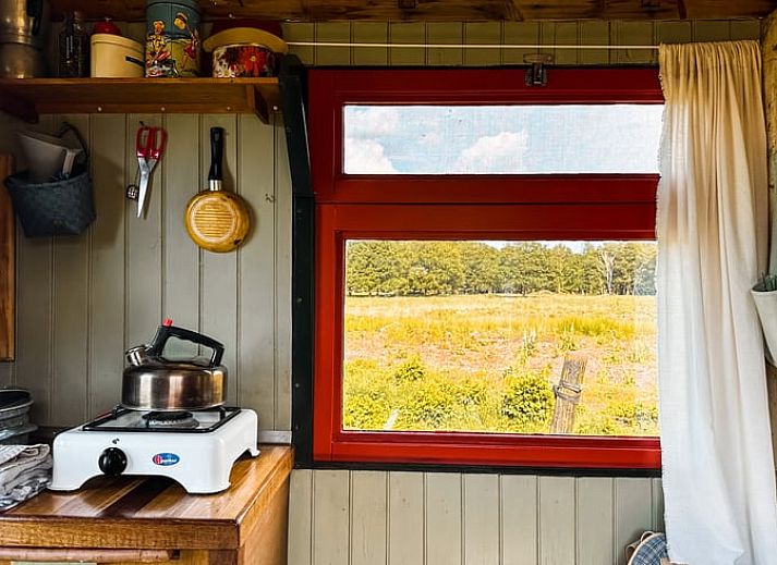 Rustiek vakantiehuisje in Mantinge, Drenthe omgeven door natuur.