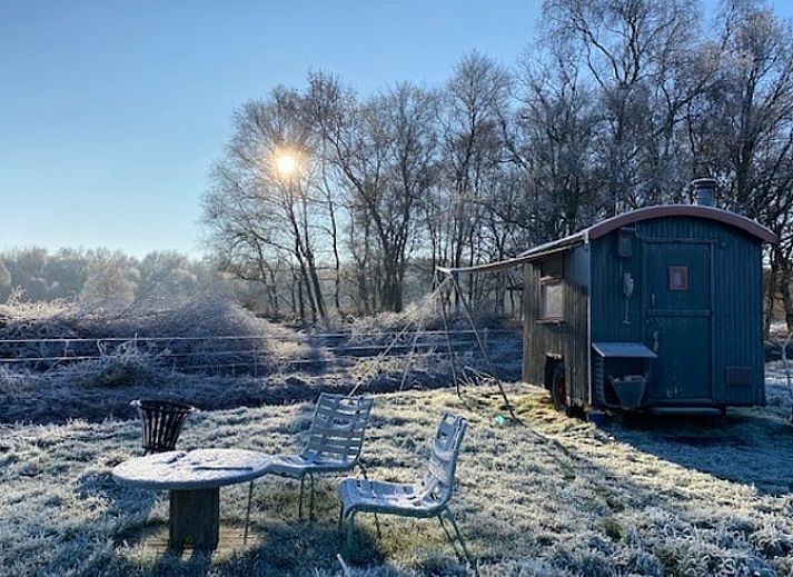 Rustiek vakantiehuisje in Mantinge, Drenthe omgeven door natuur.