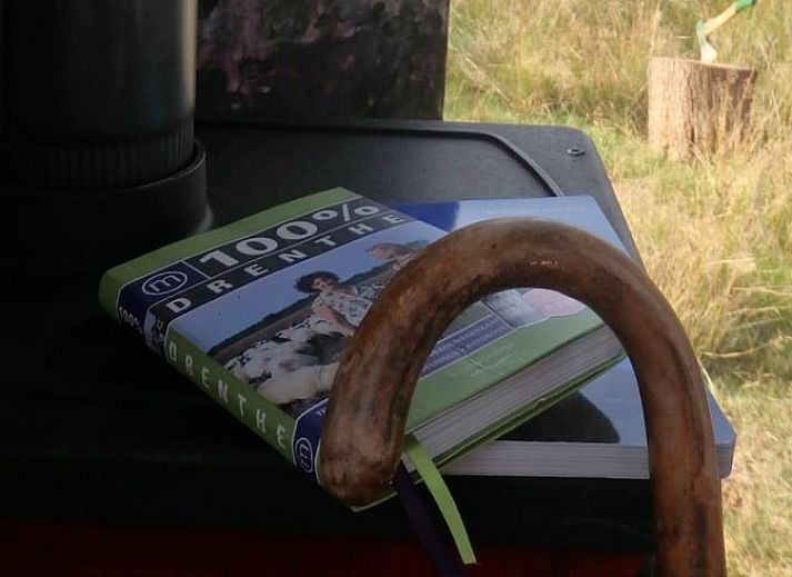 Interieur van vakantiehuisje in Mantinge, Drenthe met houten details.