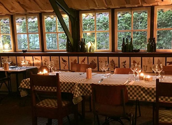 Vakantiehuisje in Mantinge, Drenthe met hangmat en weids uitzicht.