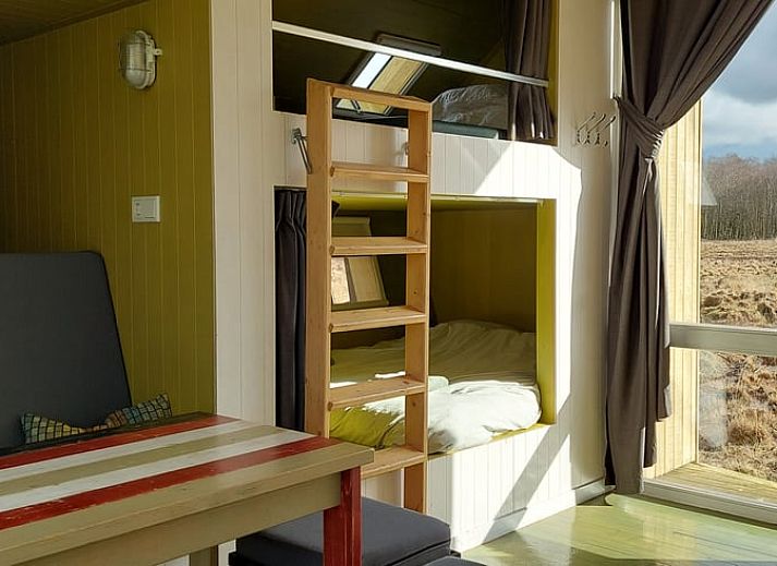 Enjoy nature around Cottage in Mantinge, vacation home in Central Drenthe, with wide views over green fields.