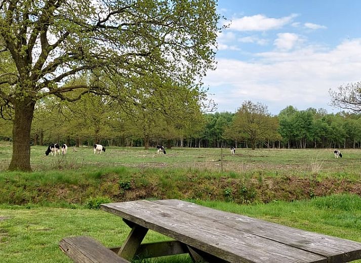 Cozy indoor area of Huisje in Mantinge, vacation home in Central Drenthe, with cozy sleeping quarters and lots of natural light.