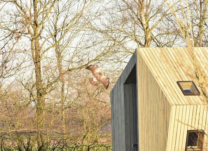 Cozy indoor area of Huisje in Mantinge, vacation home in Central Drenthe, with cozy sleeping quarters and lots of natural light.
