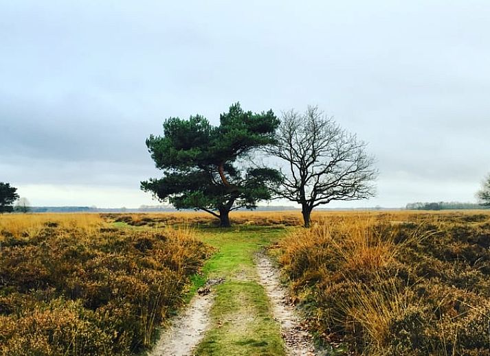 Kitchen of Cottage in Mantinge, vacation home in Central Drenthe, with views of the countryside and access to the terrace.