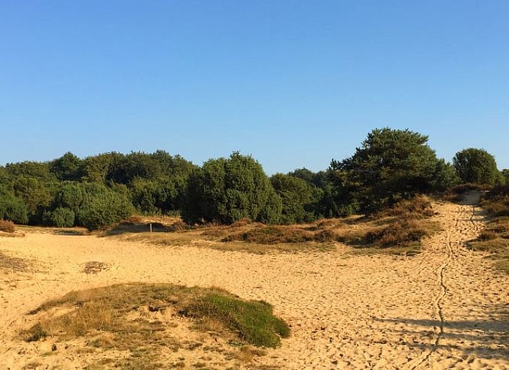 Experience the warm wooden architecture of Holiday home in Mantinge, a charming vacation home in Midden Drenthe, Drenthe.