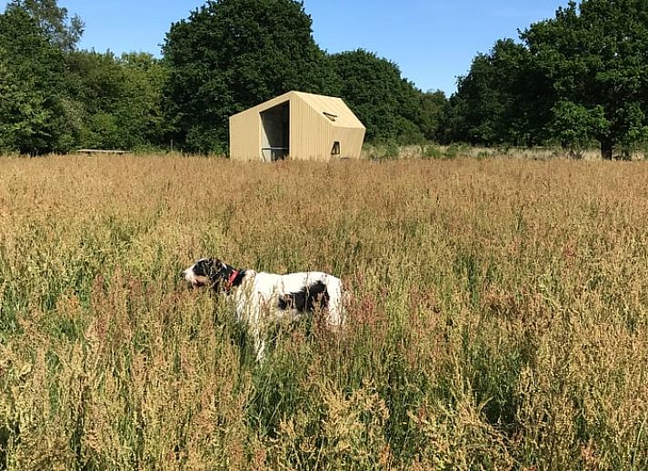 Ferienhaus in Mantinge in Drenthe, umgeben von gruenen Feldern und blauem Himmel, ideal fuer Naturliebhaber.