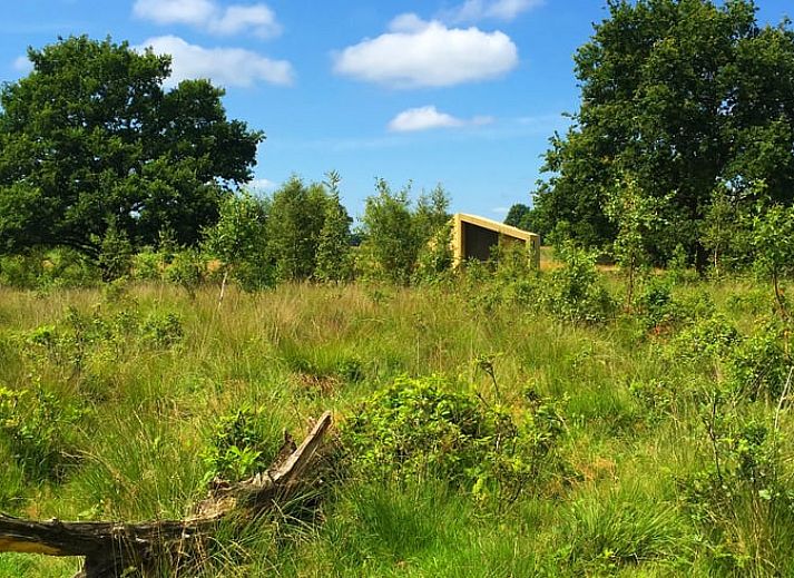 Ferienhaus in Mantinge in Drenthe, umgeben von gruenen Feldern und blauem Himmel, ideal fuer Naturliebhaber.