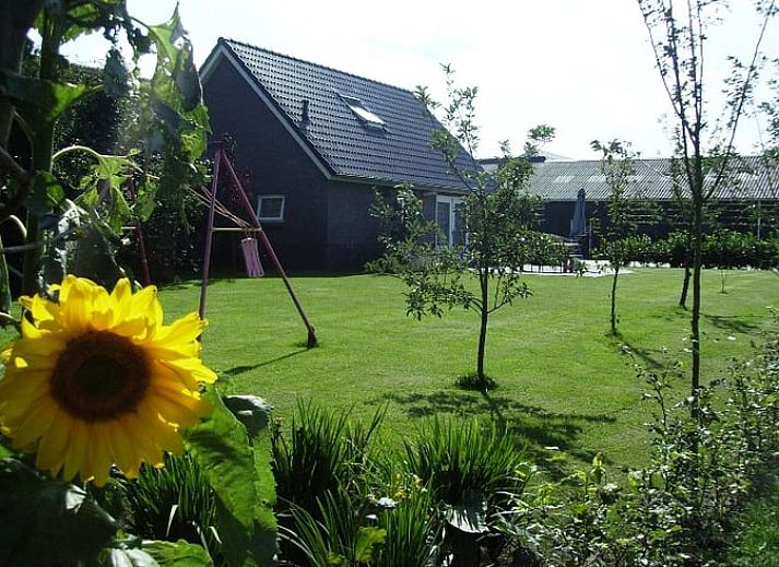 Zonnige tuin van Huisje in Eesergroen, vakantiehuis in Midden Drenthe met groene omgeving en bloemen.