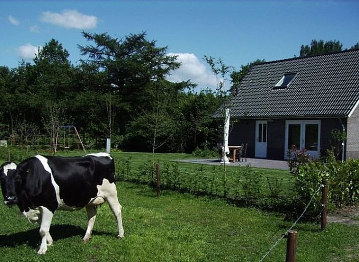 Zonnige tuin van Huisje in Eesergroen, vakantiehuis in Midden Drenthe met groene omgeving en bloemen.