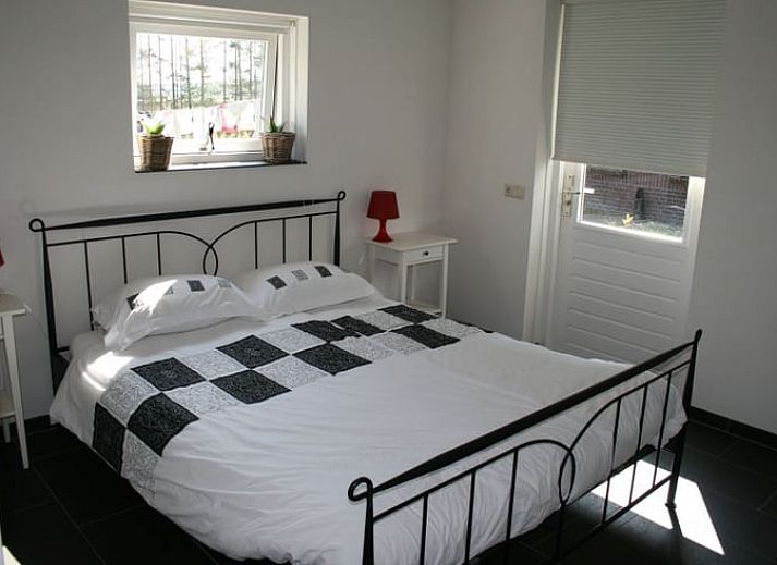 Koeien in de weide naast Huisje in Eesergroen, vakantiehuis in het landelijke Eesergroen, Drenthe.