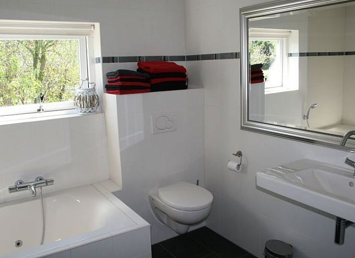 Koeien in de weide naast Huisje in Eesergroen, vakantiehuis in het landelijke Eesergroen, Drenthe.