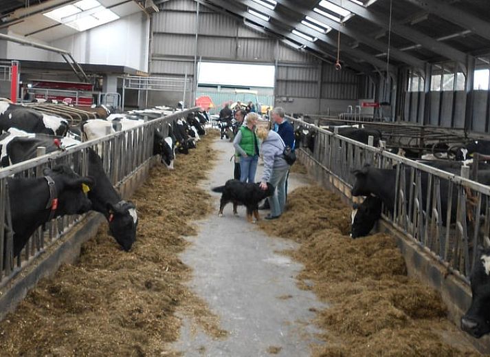 Moderne keuken en trap naar de slaapruimte in Vakantiehuis in Eesergroen, Drenthe.