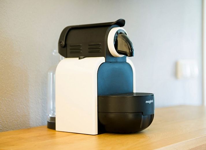 Exterieur van Hof van Saksen 24-persoons boerderij in Nooitgedacht, Drenthe, met rieten dak en groene tuin.