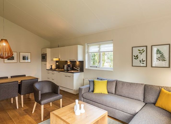 Gezellige woonkamer in Hof van Saksen 6-persoons bungalow 6B1, Nooitgedacht, Drenthe met grote ramen en moderne inrichting.