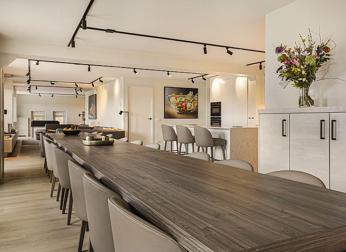 Moderne lounge in Hof van Saksen 18-persoons boerderij, Nooitgedacht, Drenthe met comfortabele banken en sfeerverlichting.