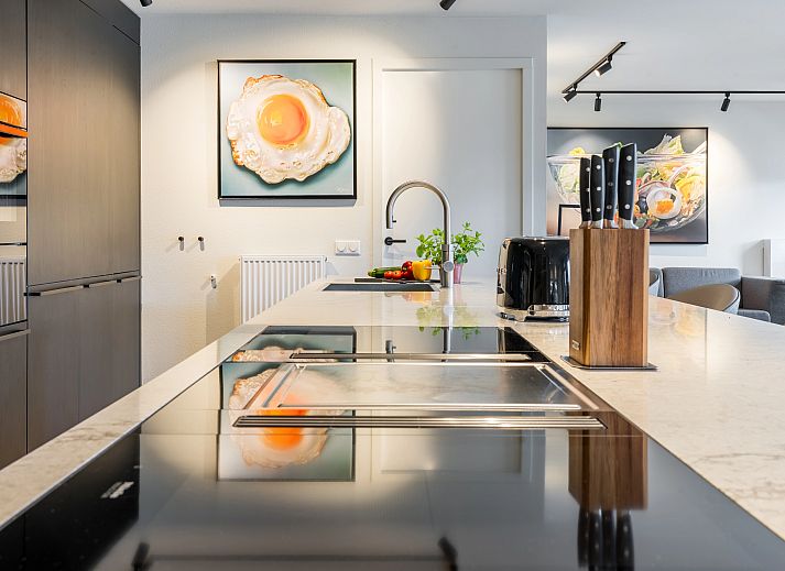 Modern living room with fireplace in Hof van Saksen, 12-bed Luxury Culinary Farmhouse in Nooitgedacht, Drenthe.